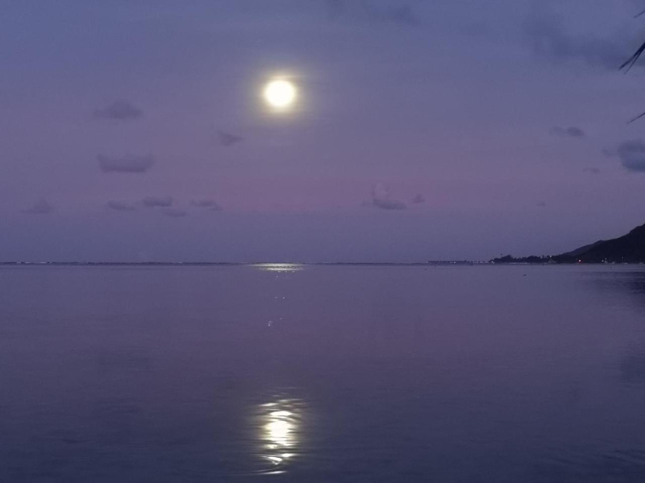 Lagoon Dream Муреа Экстерьер фото